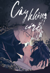 cay-khong-co-re-2