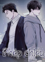 phep-chieu-projection-1