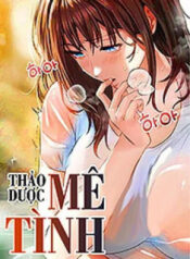 thao-duoc-me-tinh-1