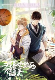 toi-thich-tin-tuc-to-cua-cau