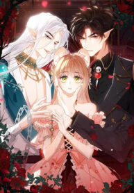 truyen-cam-bay-cua-han