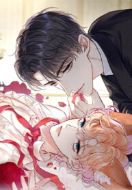 truyen-doi-tuong-cong-luoc-thiet-lap-tinh-cach-cua-anh-bi-meo-mo-roi