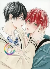 tinh-yeu-khong-the-giau-1759424557